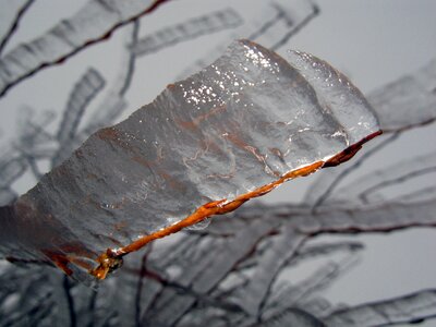 Wintry frost ice photo