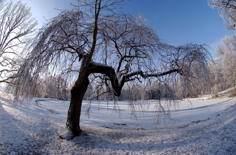 Frost cold nature