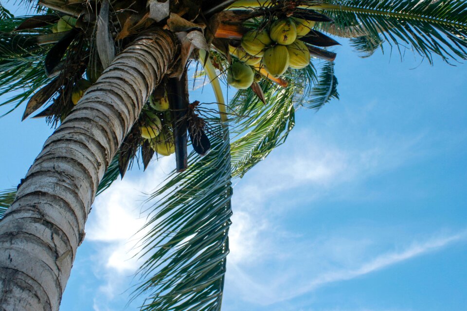 Seaside holidays thailand