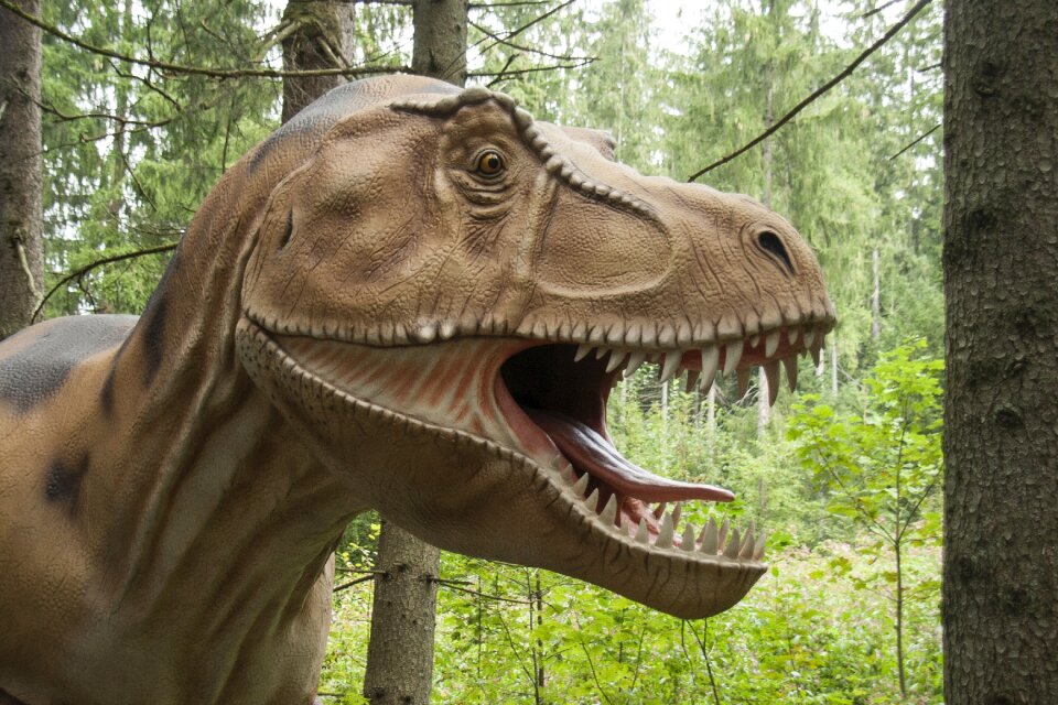 Dinosaur dangerous predator