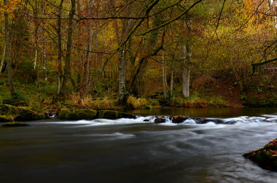 Water courses nature water