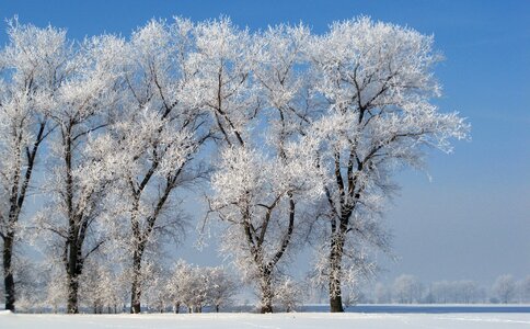 Cold frost clear