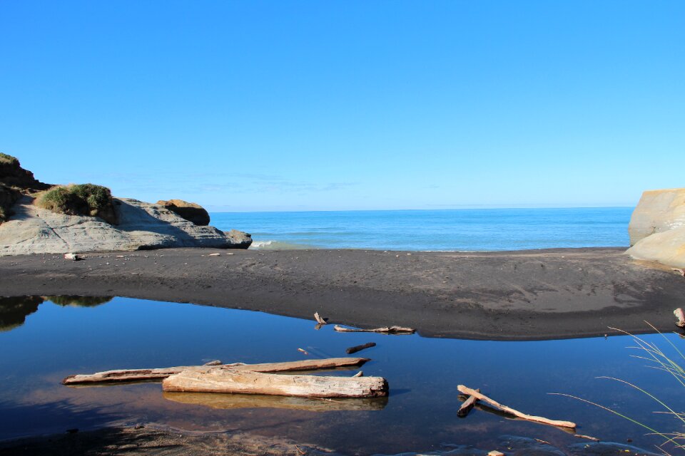 New zealand drift wood wide