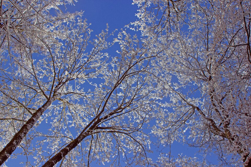 Winter snow magic white