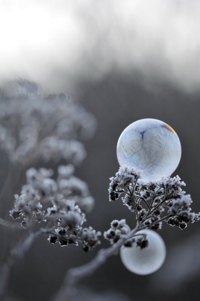 Soap frosted breath