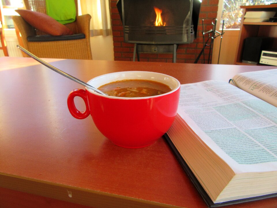 Tomato soup book read