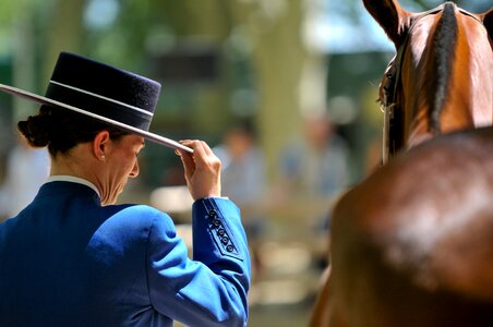 Horses animals dressage