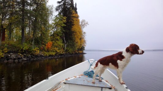 Lake rowing boat silence