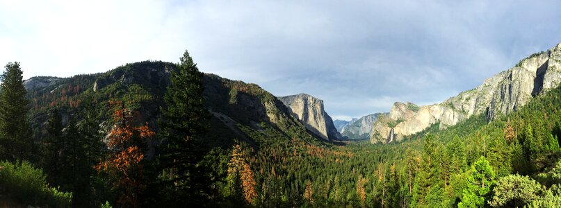 Yosemite national park national park half dome photo