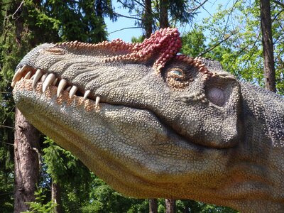 Extinct maquette model