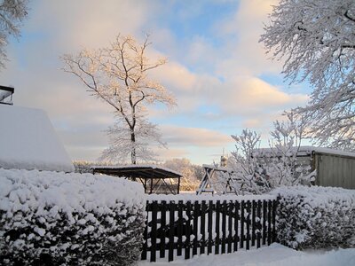 Cold season december