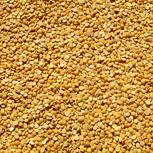 Crop harvested agriculture