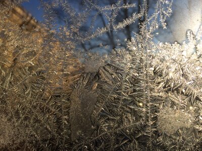 Ice macro blue