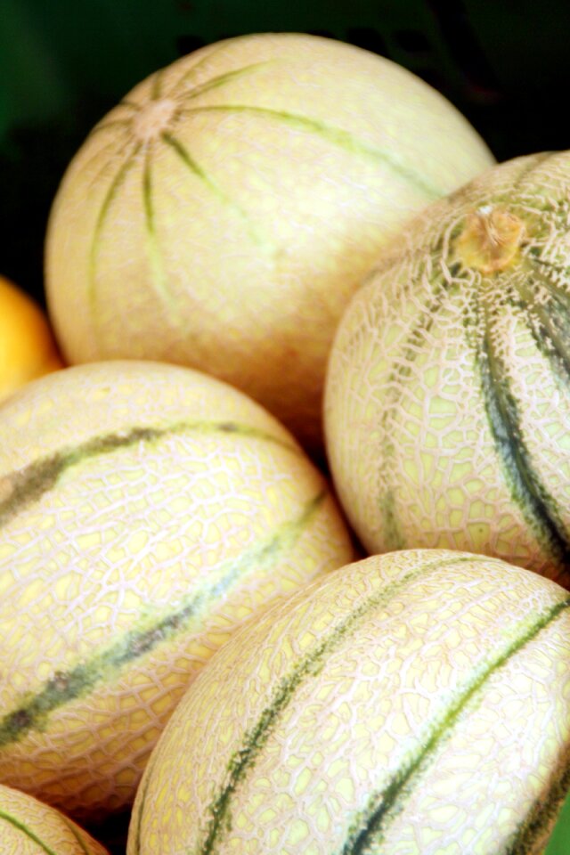 Eat market healthy