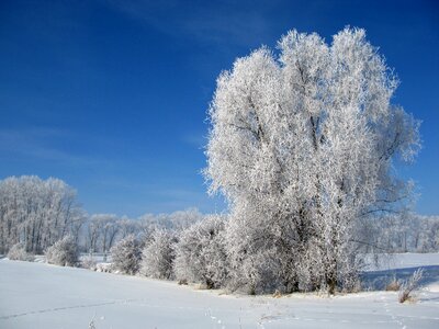 Cold frost clear