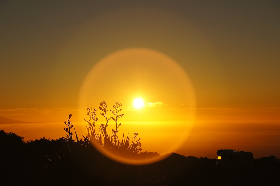 Mobile home sun grass