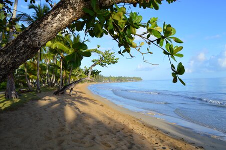 Beach las terrenas dominican republic photo