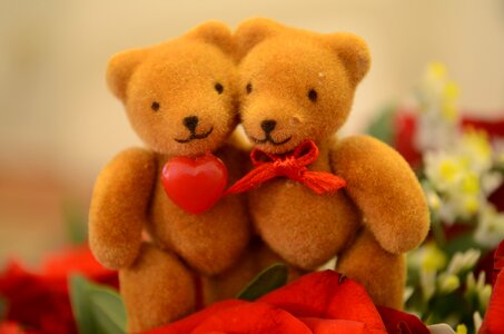 Bears valentine's day cute