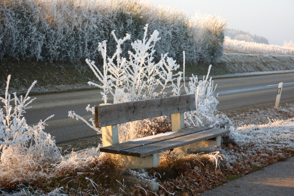 Bench winter mood wintry
