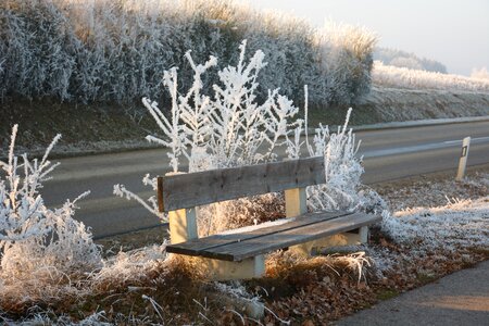 Bench winter mood wintry