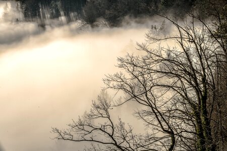 Nature mountains trees photo