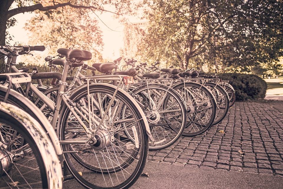 Sports cycling racks