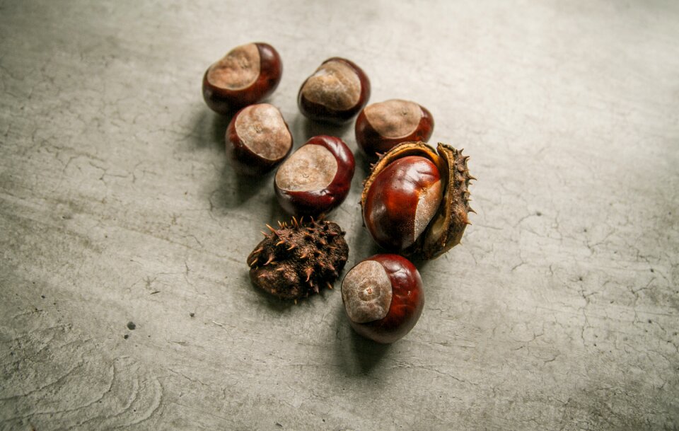 Autumn brown organic