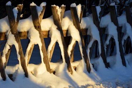 Snow nature winter mood