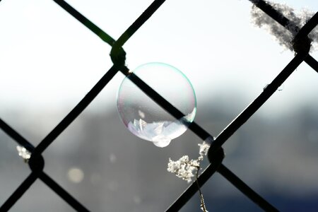 Winter frozen bubble freeze photo