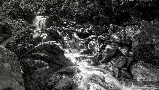 River black and white stones photo