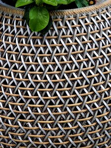 Wattle decorative particulars