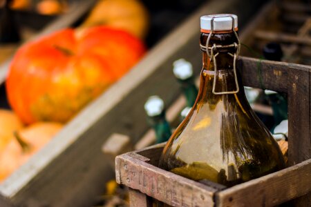 Autumn pumpkin beer