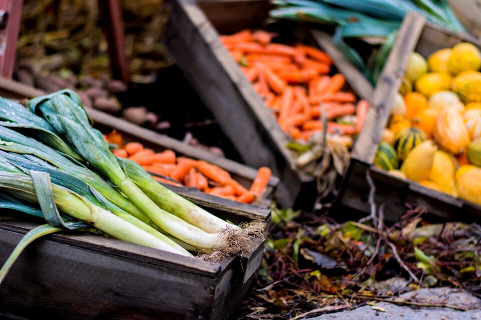 Halloween autumn vegetables