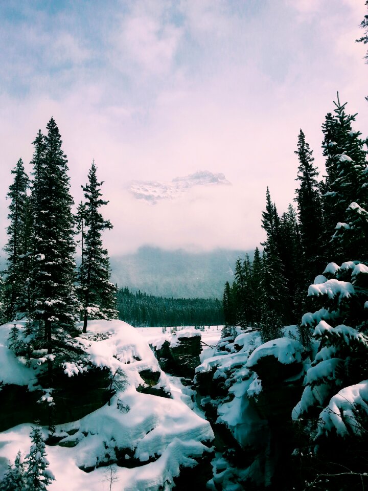 Landscape scenic nature