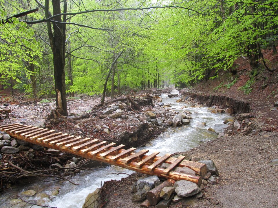 Stream bridge low tatras