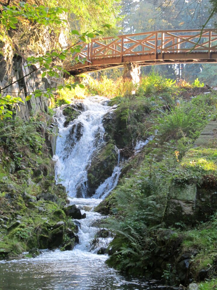 Bridge rocks pruhonice park