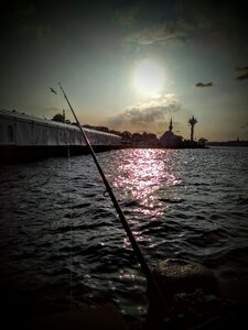 Fish marine istanbul