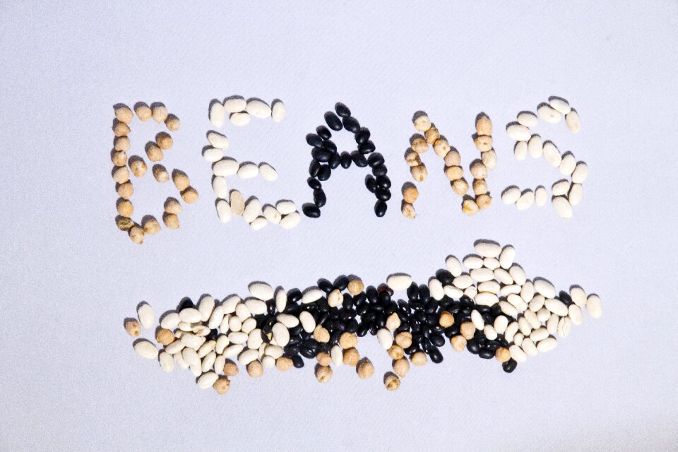 Navy navy beans black beans