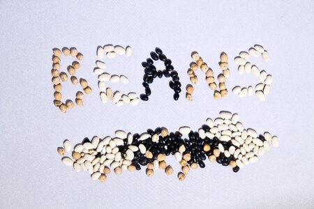 Navy navy beans black beans photo