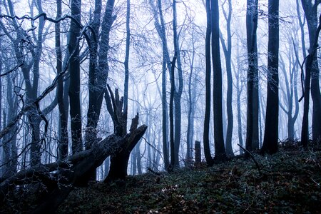 Frost landscape nature