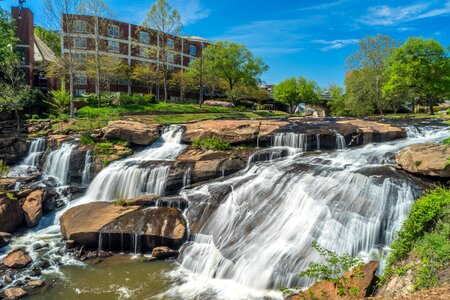 Carolina nature downtown