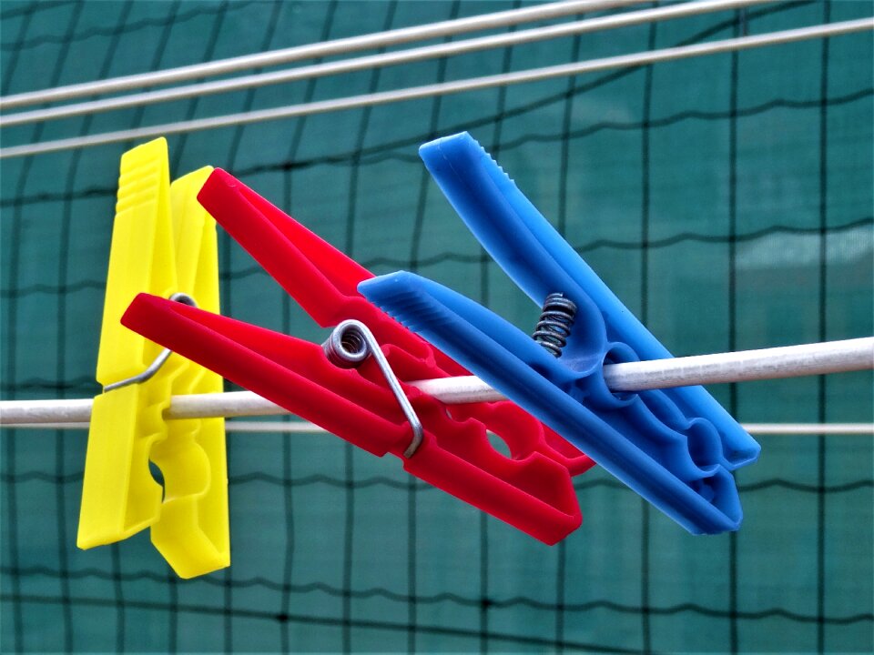 Leash color creativity