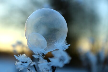 Eiskristalle winter winter magic photo