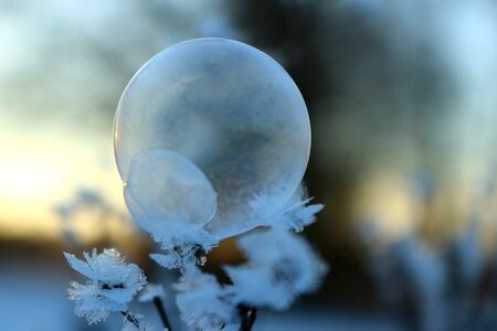 Eiskristalle winter winter magic