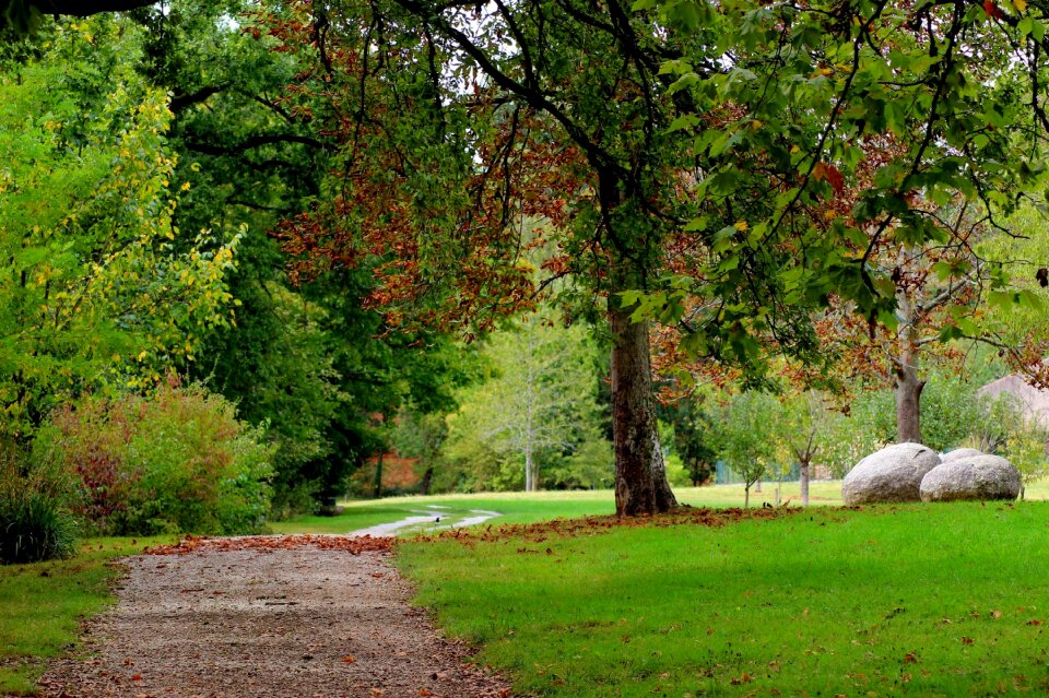 Leaves based fall
