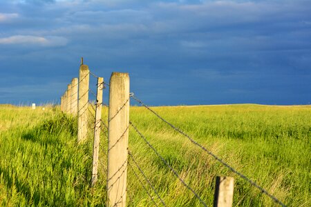 Field land