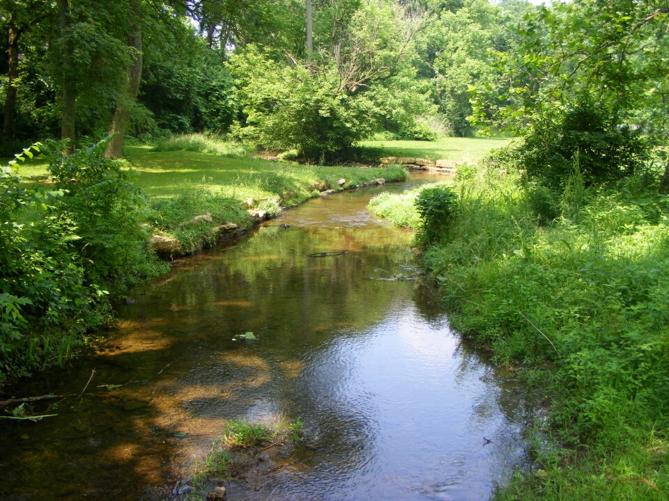Nature landscape stream