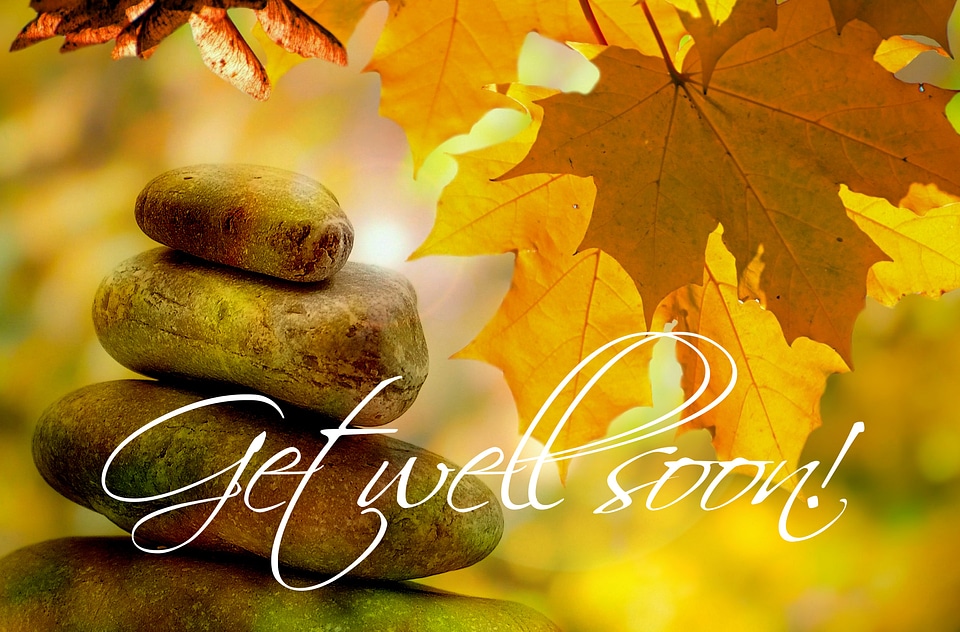 Trees leaves wellness