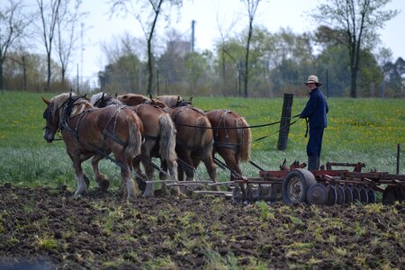 Mennonites man amish photo