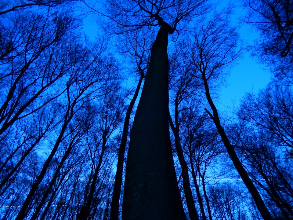 Canopy without sheet blue sky